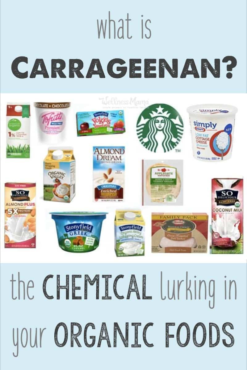 what-is-carrageenan